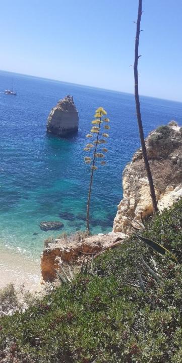 Nid De Reve Daire Armação de Pêra Dış mekan fotoğraf