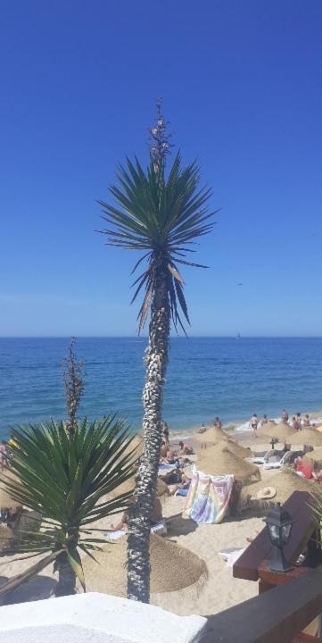 Nid De Reve Daire Armação de Pêra Dış mekan fotoğraf